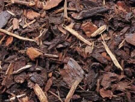 Bark chippings | in New Moston 